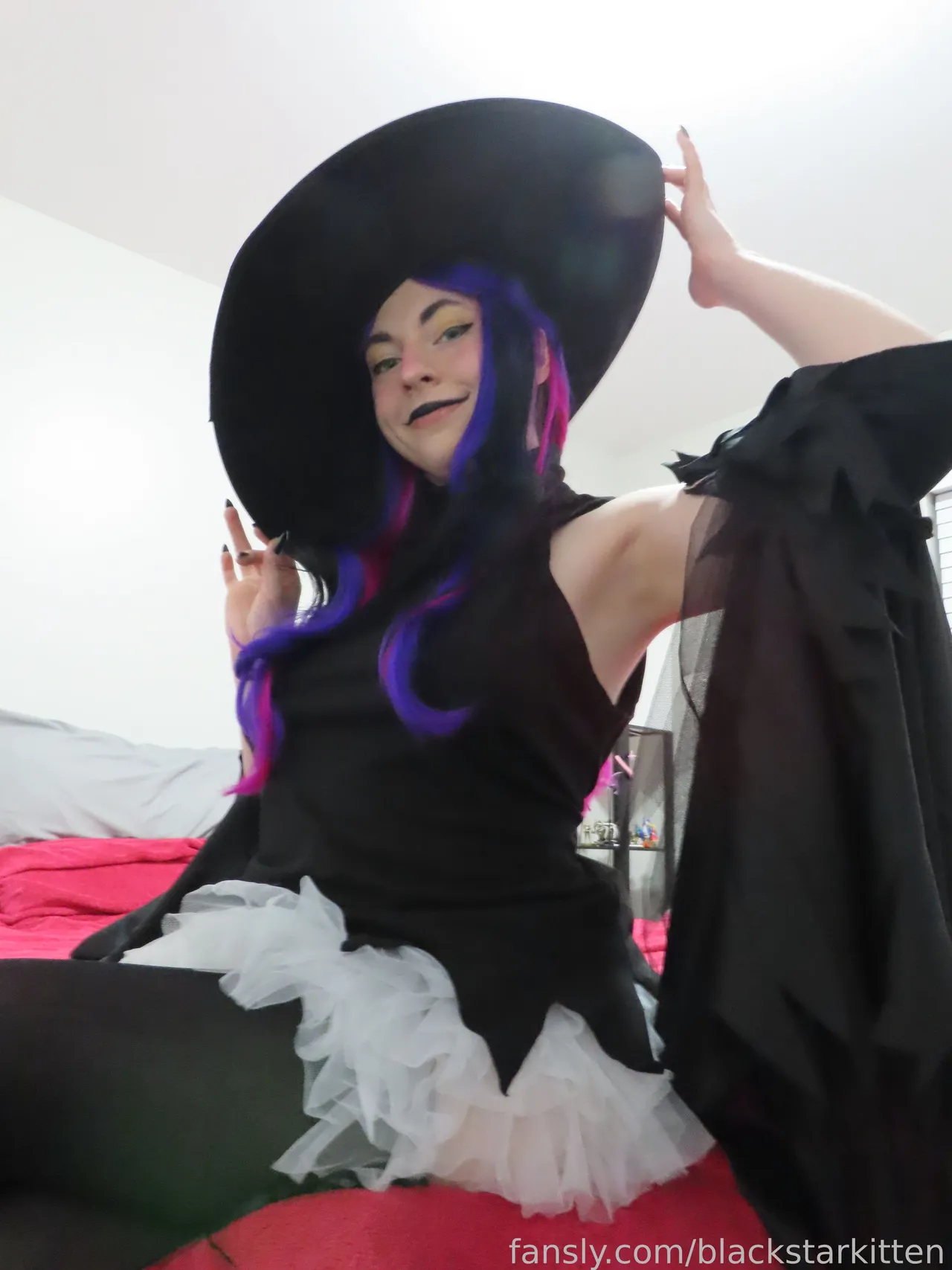 Black Star Kitten - Blair - Image 6