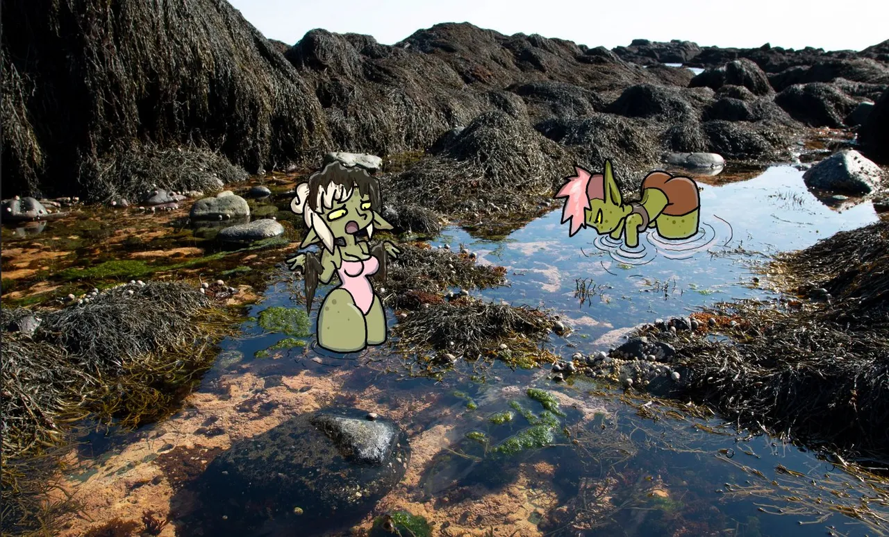 BonnyToad The Goblin Hole 2022-2026 NG-X - Image 176