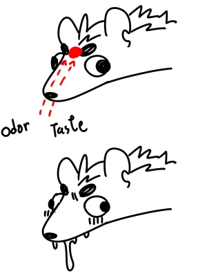 BooBoo Passionate Affection English Ongoing - Page 478