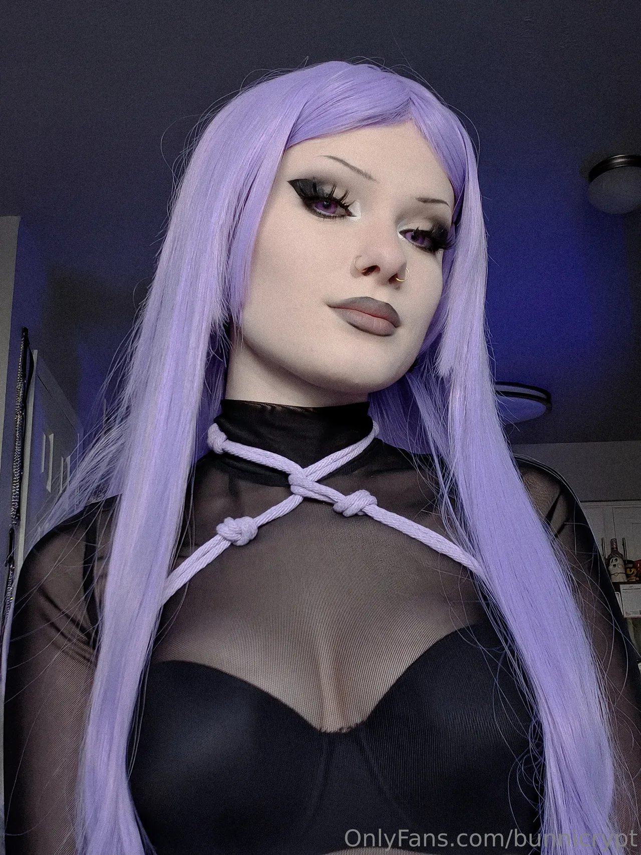 Bunni Lynn - Kaonashi - Image 53