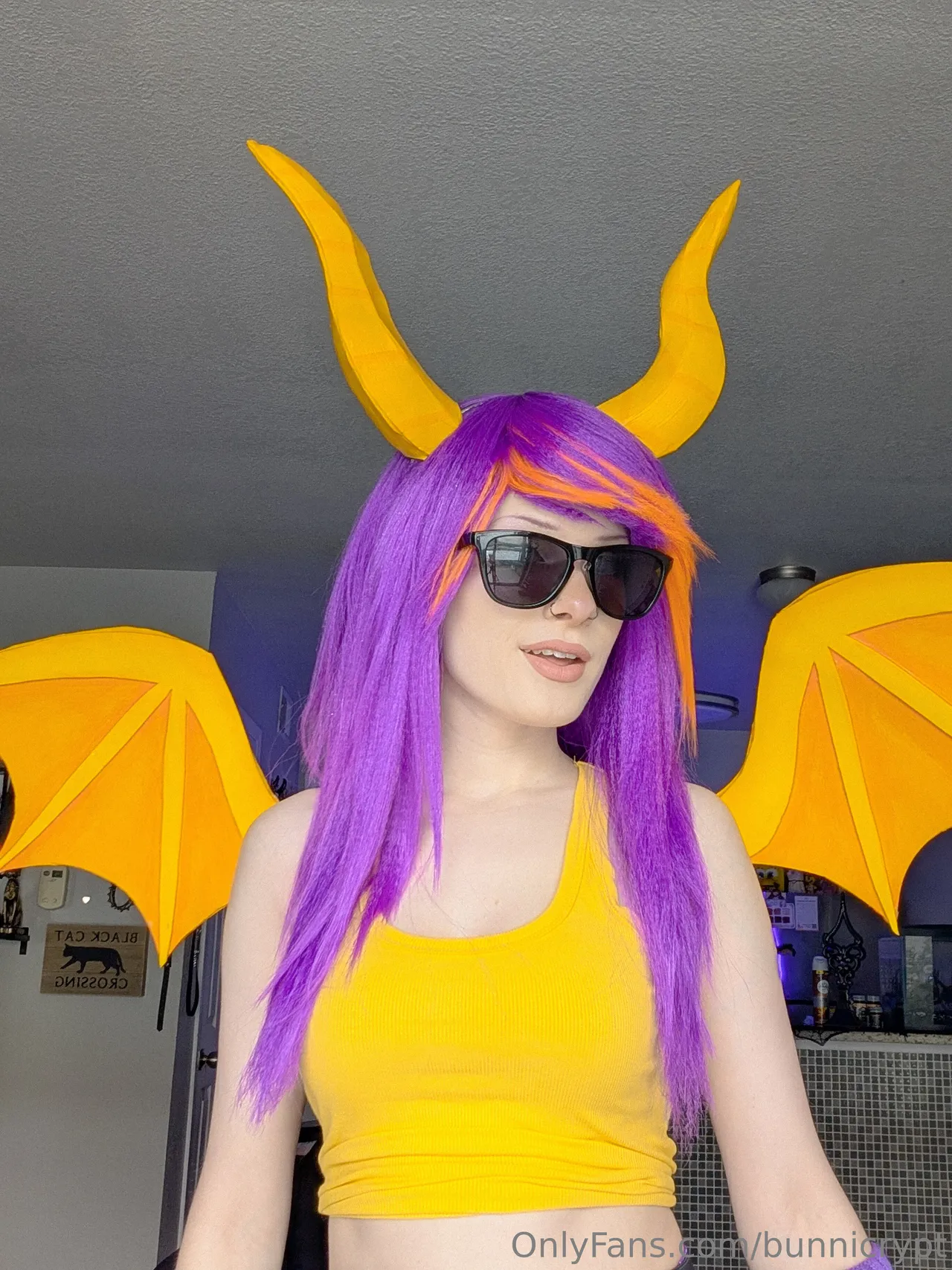 Bunni Lynn - Spyro - Image 1