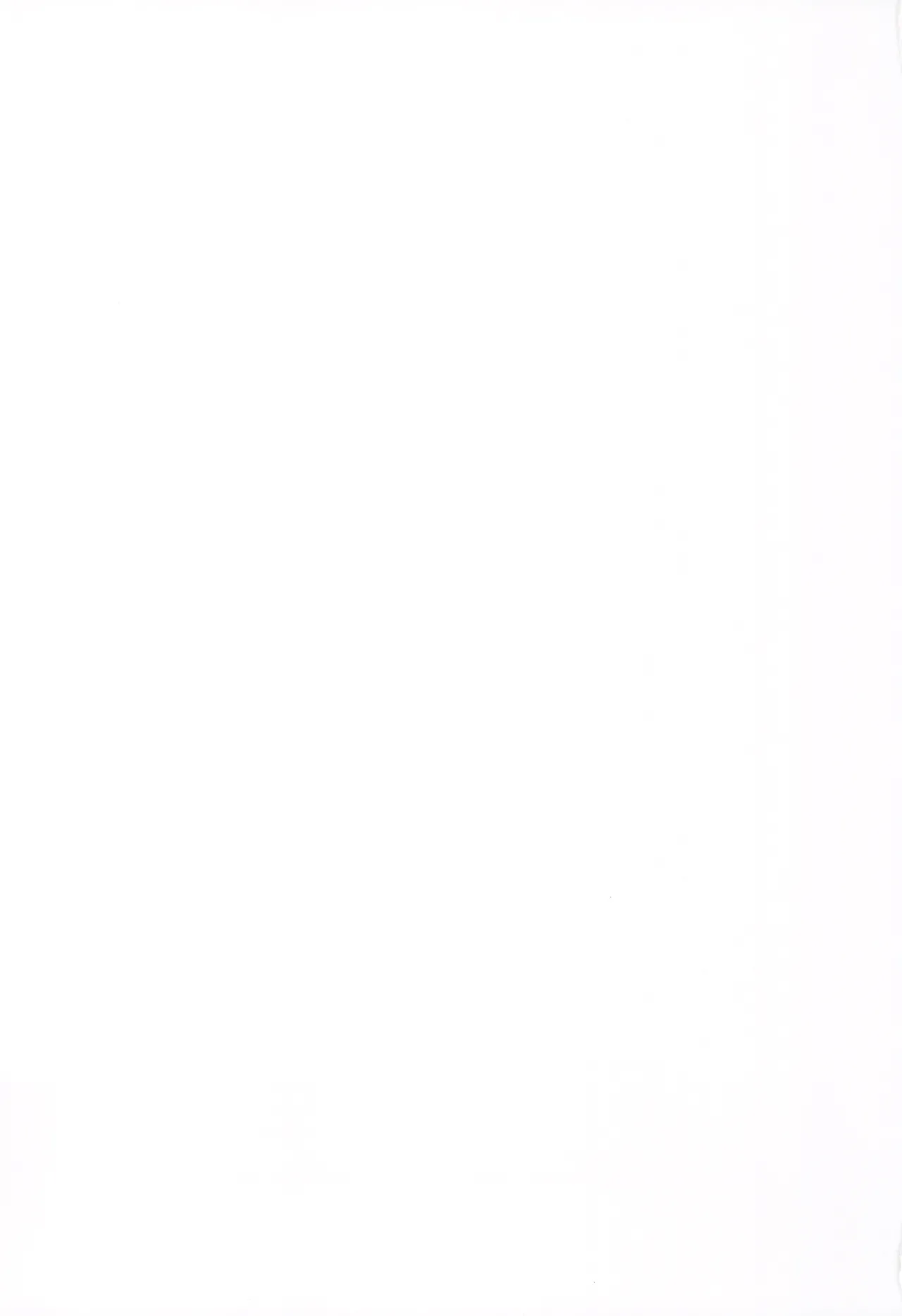 C107 Fumituki Fumituki Kyonyuu Majo Biyaku Slime Zuke Touhou Project - Image 23