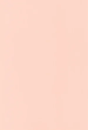 C107 Hachimidosan Toge Toge 世直しおじさんVSアウトロー黒ギャル総集編 - Page 3