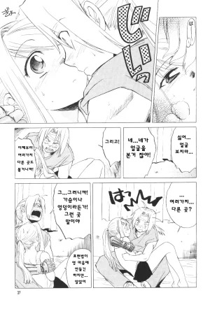 C66 Toko-ya HEIZO, Kitoen ED x WIN Fullmetal Alchemist Korean Liberty Library - Page 27