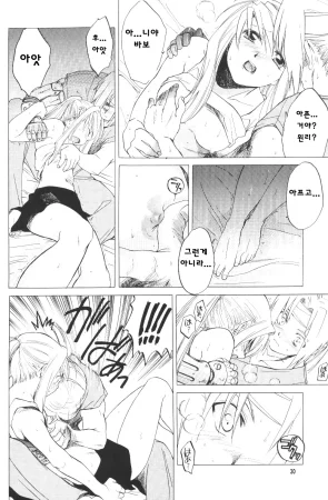 C66 Toko-ya HEIZO, Kitoen ED x WIN Fullmetal Alchemist Korean Liberty Library - Page 30