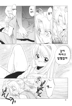 C66 Toko-ya HEIZO, Kitoen ED x WIN Fullmetal Alchemist Korean Liberty Library - Page 35