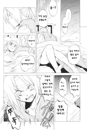 C66 Toko-ya HEIZO, Kitoen ED x WIN Fullmetal Alchemist Korean Liberty Library - Page 48