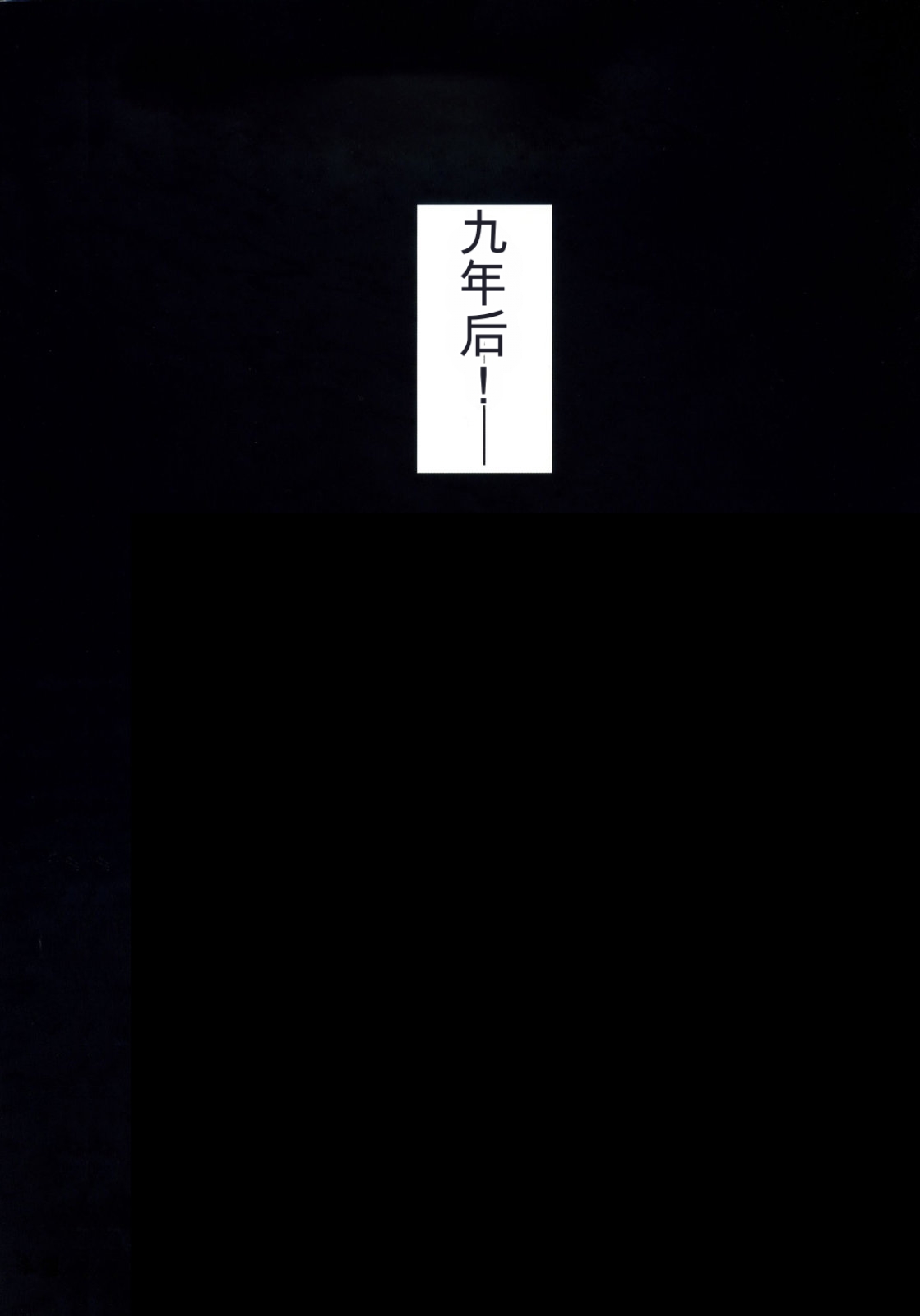 C73 STUDIO HIMAWARI Himukai Kyousuke Kanzen Choukyou Fate Shiki 丨完全调教菲特式 Mahou Shoujo Lyrical Nanoha Chinese个人机翻汉化 - Image 13