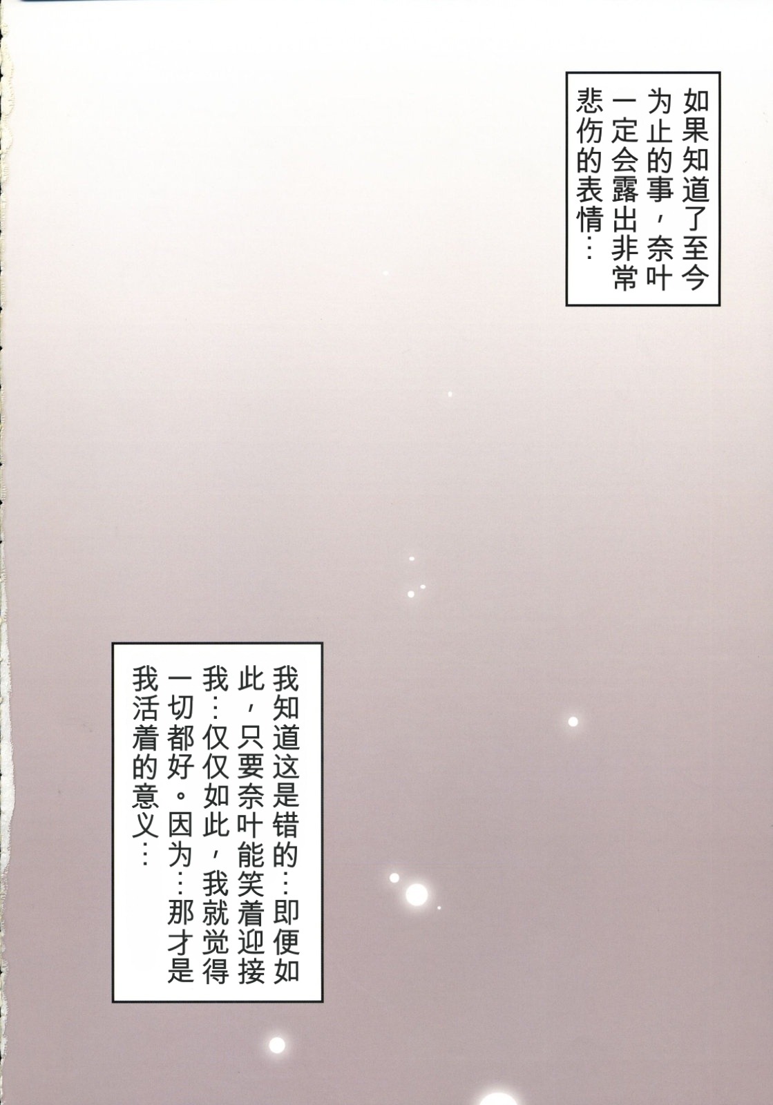 C73 STUDIO HIMAWARI Himukai Kyousuke Kanzen Choukyou Fate Shiki 丨完全调教菲特式 Mahou Shoujo Lyrical Nanoha Chinese个人机翻汉化 - Image 21