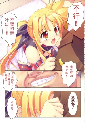 C73 STUDIO HIMAWARI Himukai Kyousuke Kanzen Choukyou Fate Shiki 丨完全调教菲特式 Mahou Shoujo Lyrical Nanoha Chinese个人机翻汉化 - Page 12