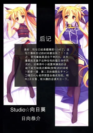 C73 STUDIO HIMAWARI Himukai Kyousuke Kanzen Choukyou Fate Shiki 丨完全调教菲特式 Mahou Shoujo Lyrical Nanoha Chinese个人机翻汉化 - Page 25