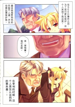 C73 STUDIO HIMAWARI Himukai Kyousuke Kanzen Choukyou Fate Shiki 丨完全调教菲特式 Mahou Shoujo Lyrical Nanoha Chinese个人机翻汉化 - Page 3