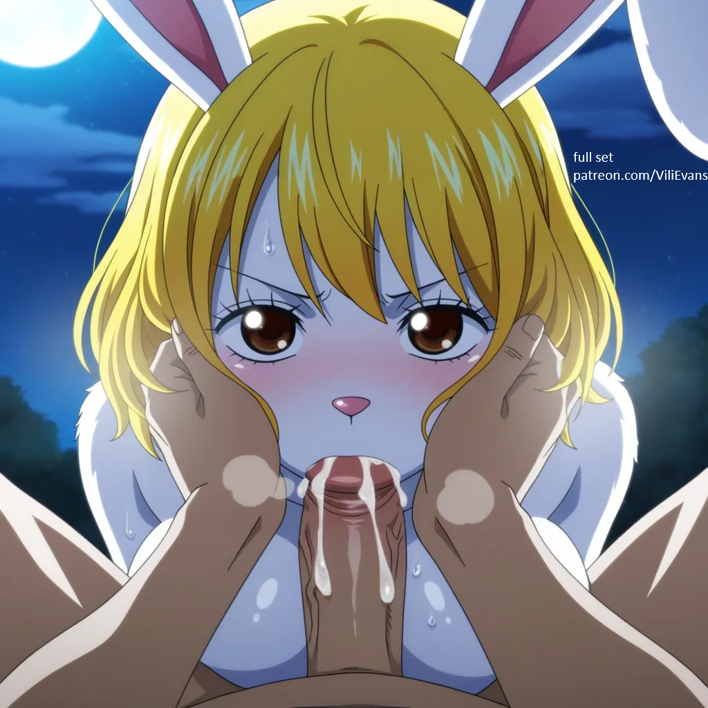 Carrot Image Set - Image 10