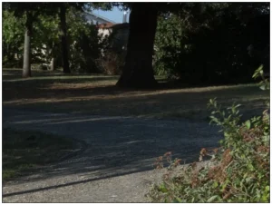 CBlack Truth and Consequences - Page 517