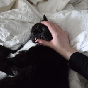 Celebi cosplay - Shizuku - Page 28