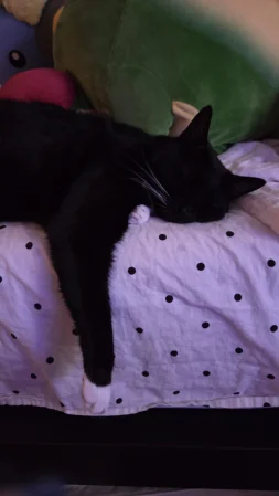 Celebi cosplay - Shizuku - Page 30