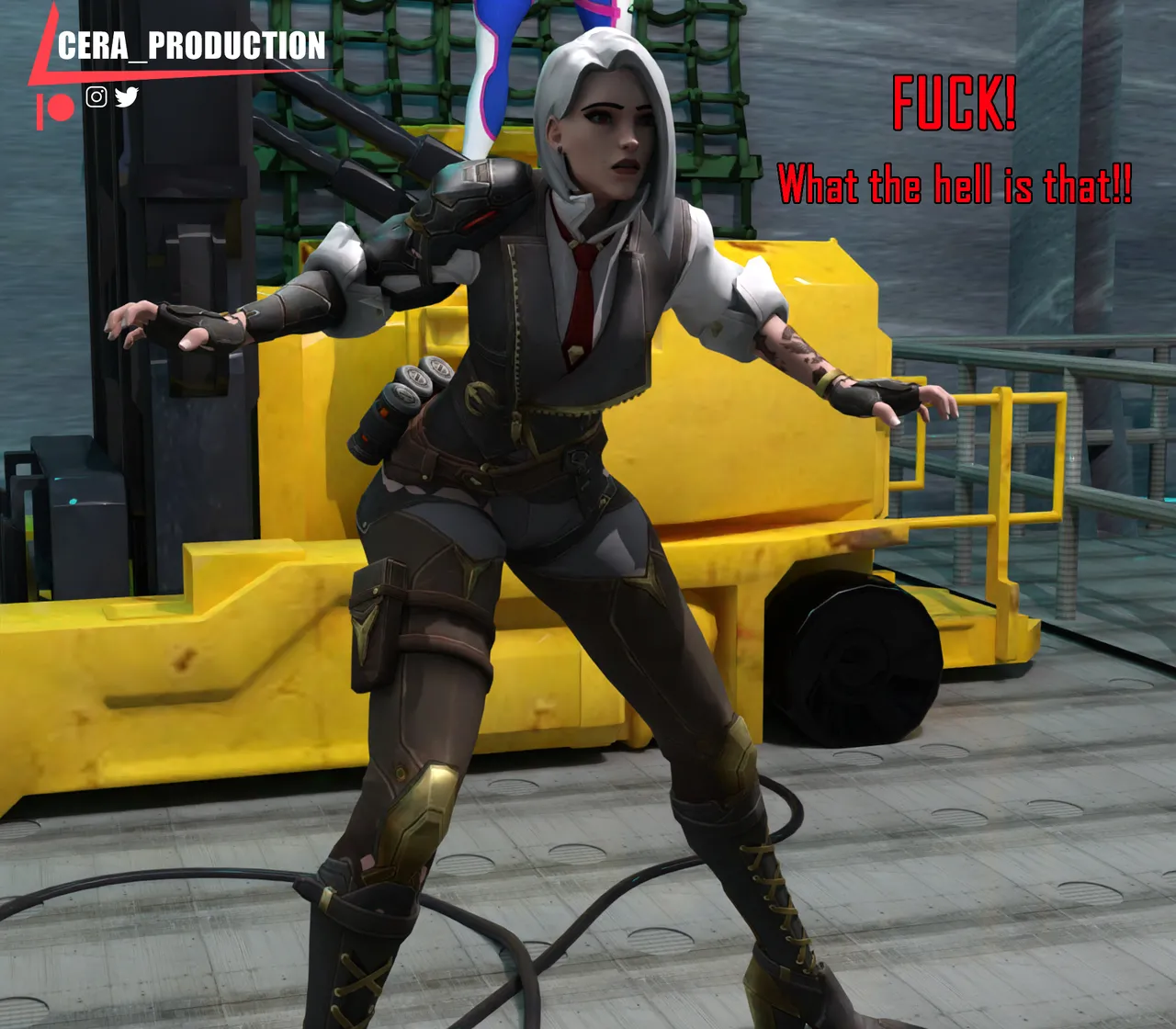 Cera Production D.Vas Case - Image 2