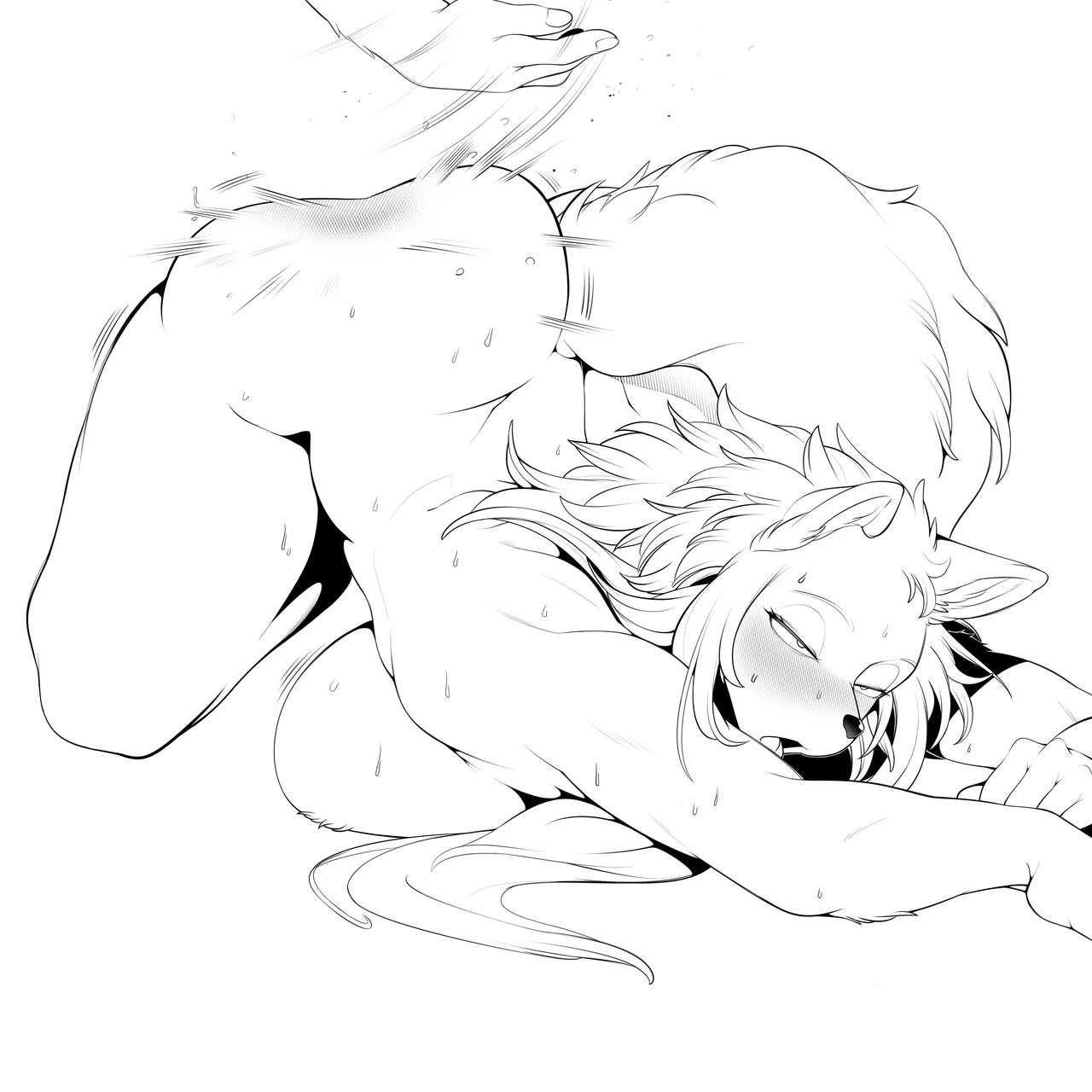 Cervina7 2019-2025 - Image 39