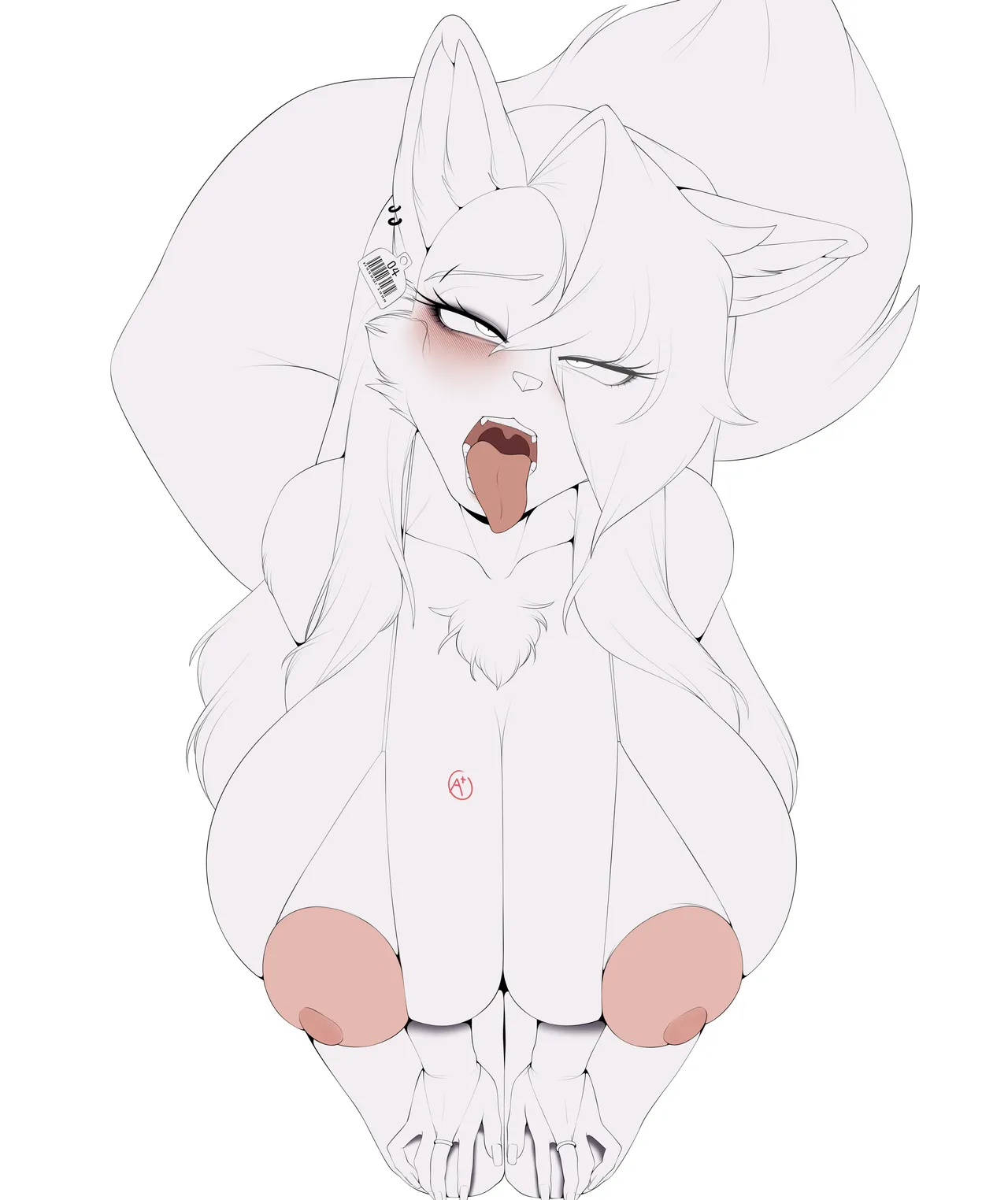 Cervina7 2019-2025 - Image 557