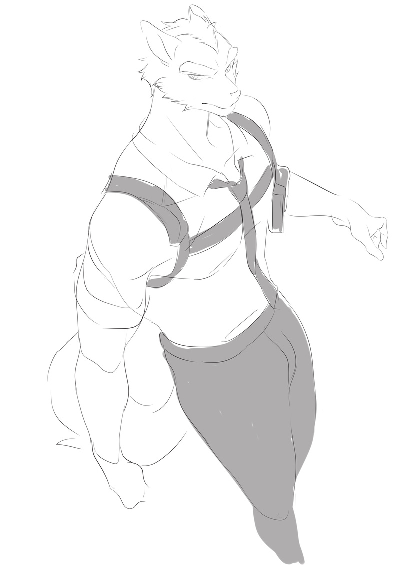 Cervina7 2019-2025 - Image 686