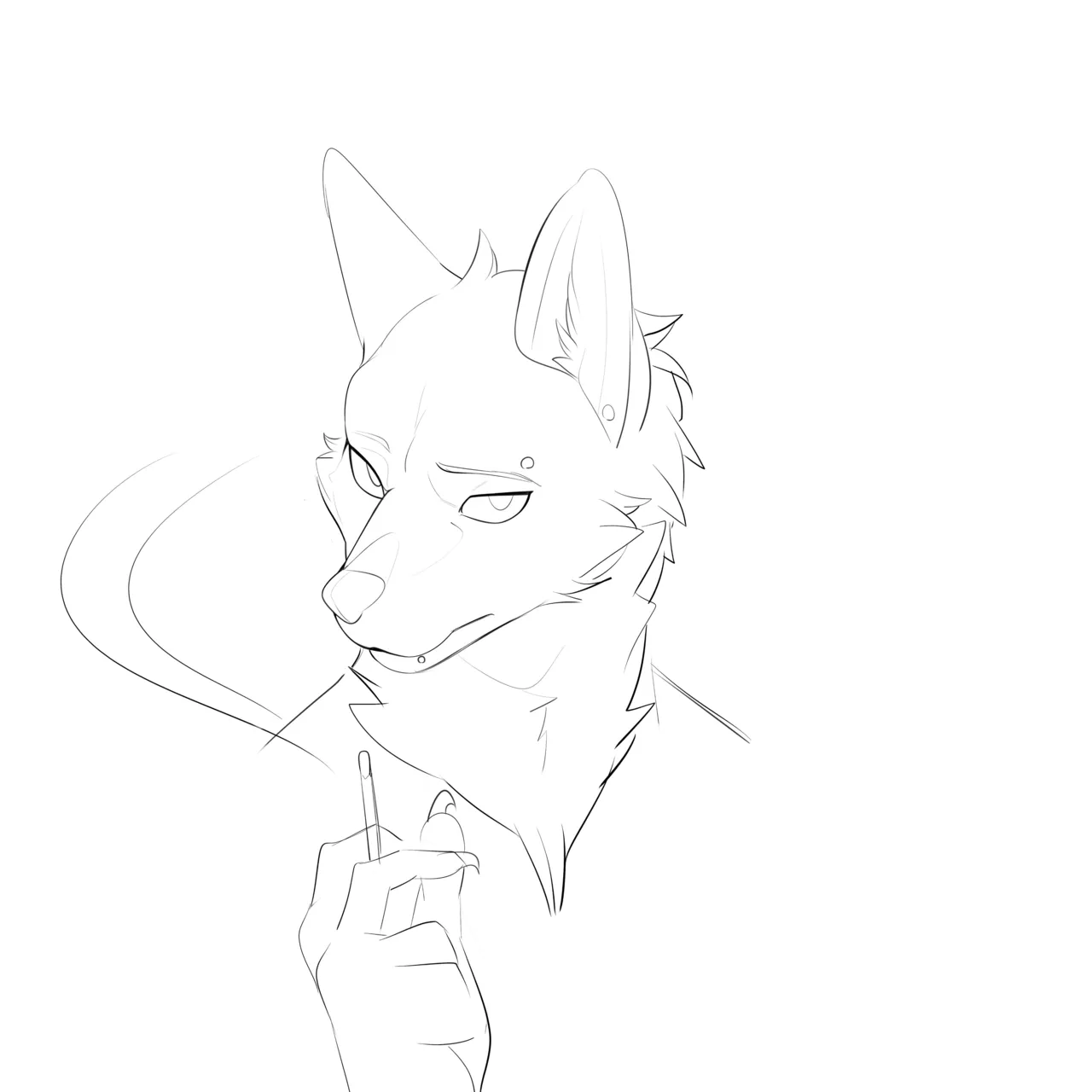 Cervina7 2019-2025 - Image 701