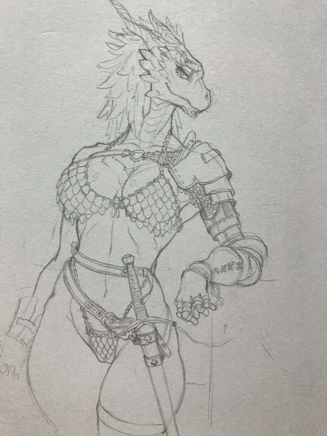 Cervina7 2019-2025 - Image 720