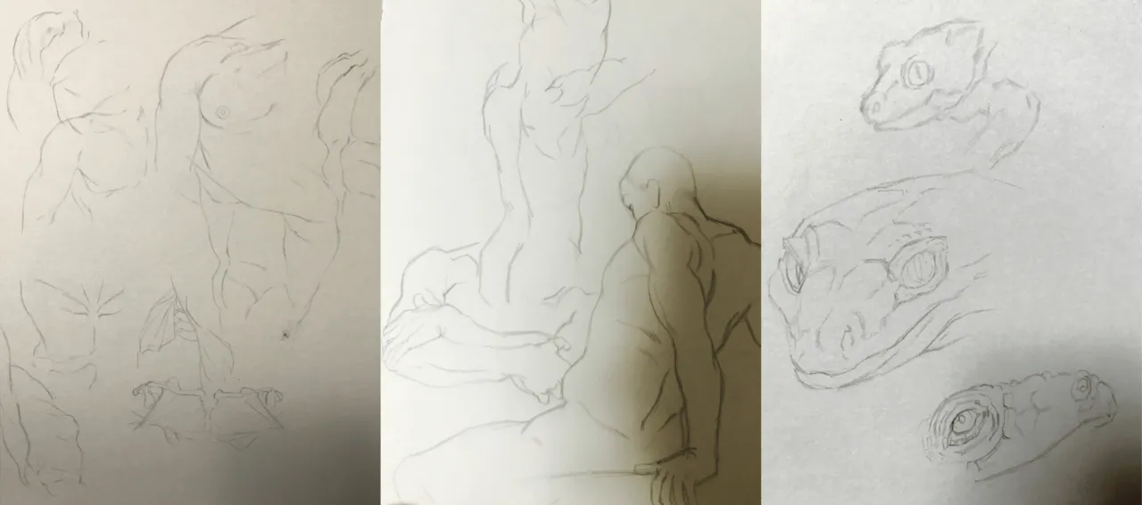 Cervina7 2019-2025 - Image 721