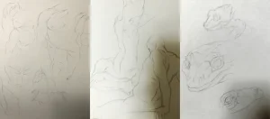 Cervina7 2019-2025 - Page 721