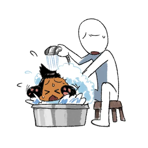 Cessa Arung Samudra O.D.D.S. - Image 451