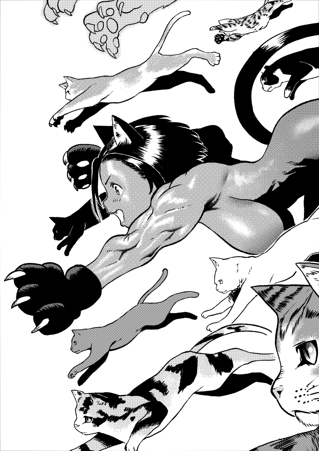 Cessa Arung Samudra O.D.D.S. - Image 520