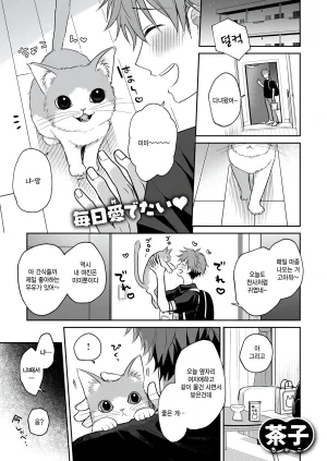 Chako Hatsujou Nyanko wa goshujin ni amaetai WEEKLY Kairakuten 2026 No.07 Korean Thumbnail