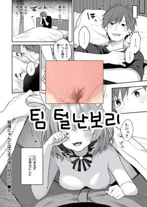 Chako Hatsujou Nyanko wa goshujin ni amaetai WEEKLY Kairakuten 2026 No.07 Korean - Page 21