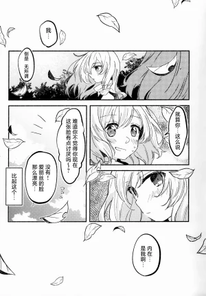 Charisma Saapu Meijima Rako Irekawari FiiringuTouhou Project ChineseNonothird个人汉化 - Page 14