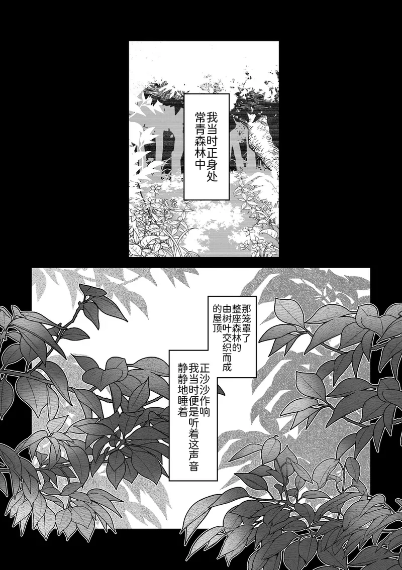 相捕于常青森林丨 作者くらげバイパス果甘酢 路的个人汉化 Chinese Pokémon - Image 1