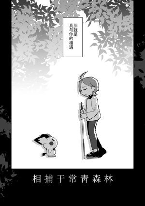 相捕于常青森林丨 作者くらげバイパス果甘酢 路的个人汉化 Chinese Pokémon - Page 3