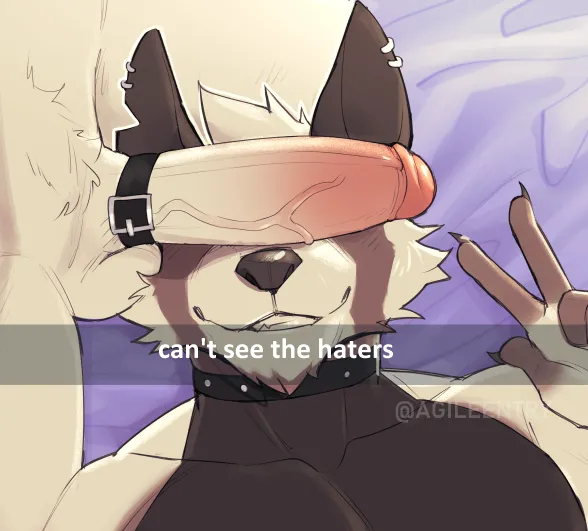 collectionAgileEntry - Image 316