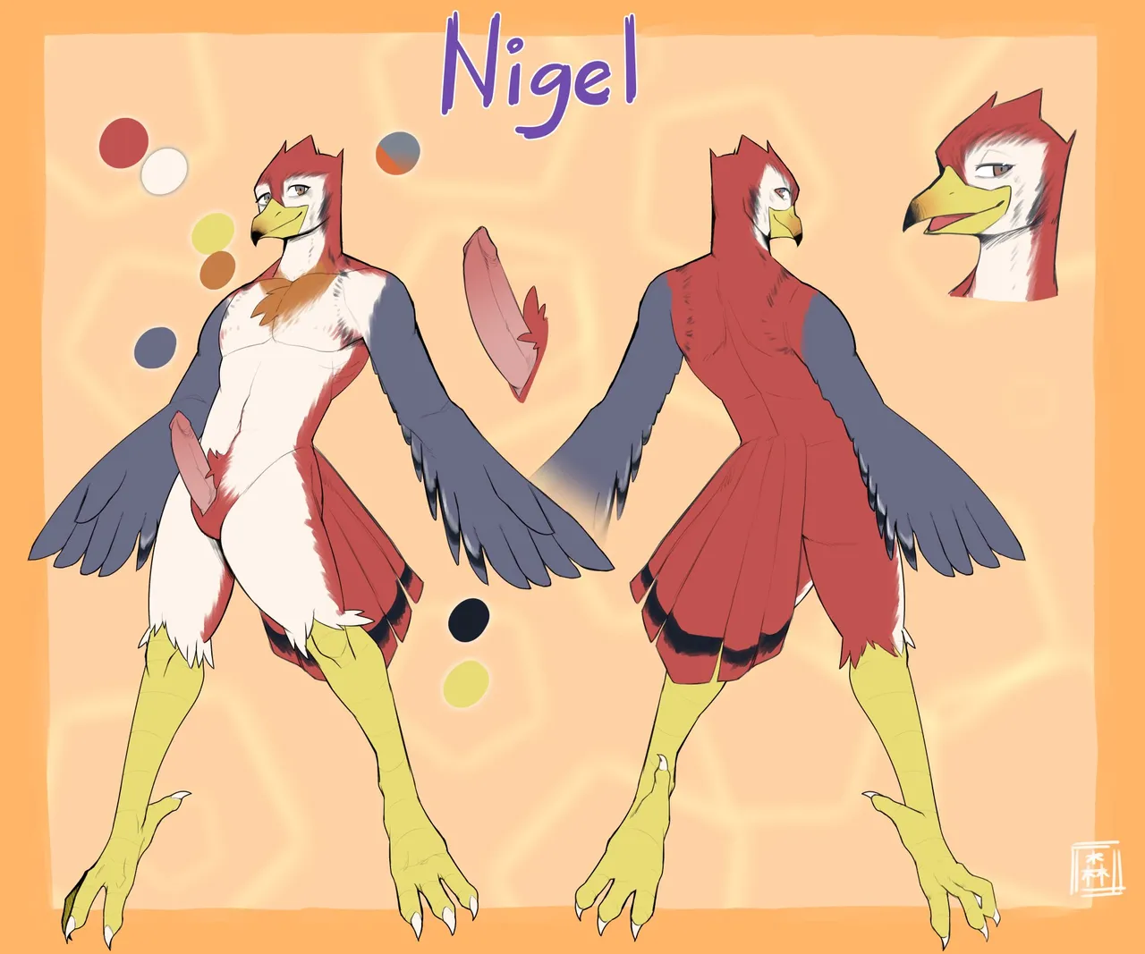 collectionAgileEntry - Image 580