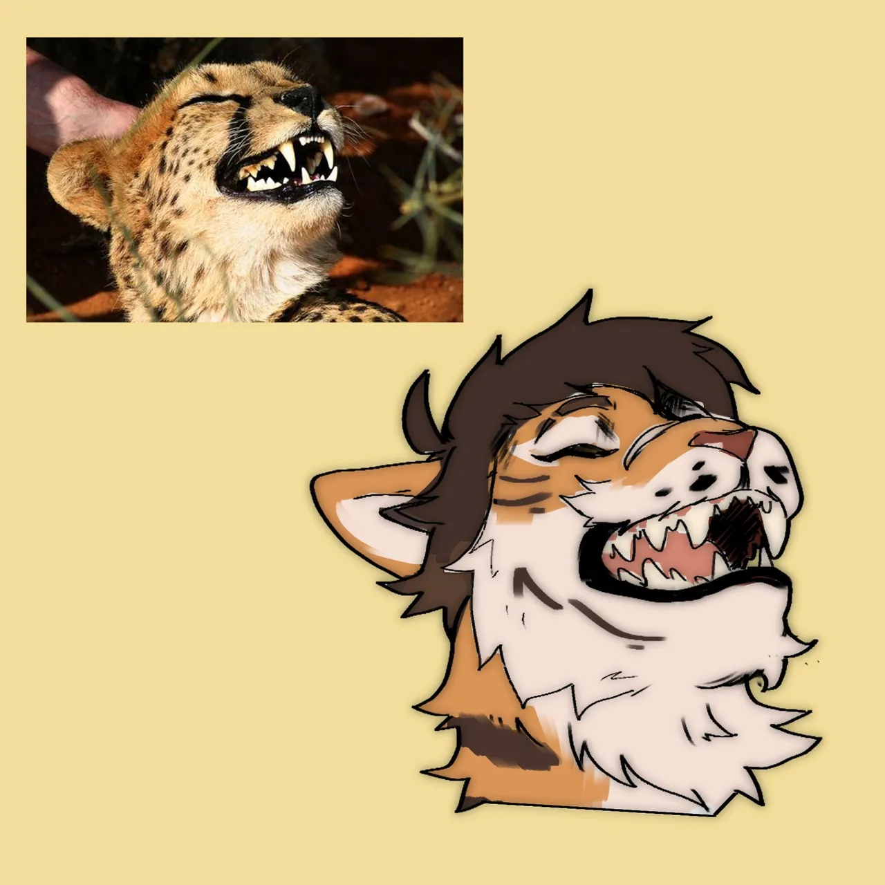 collectionElMichiMH - Image 301