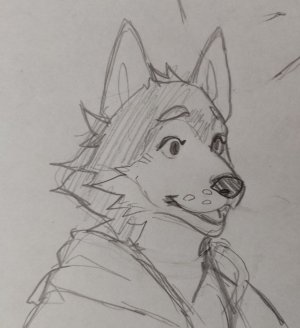 collectionElMichiMH - Page 332