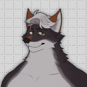 collectionElMichiMH - Page 337