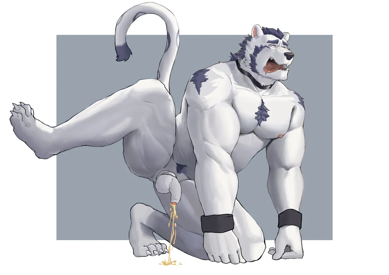 collectionZudo_o - Image 103