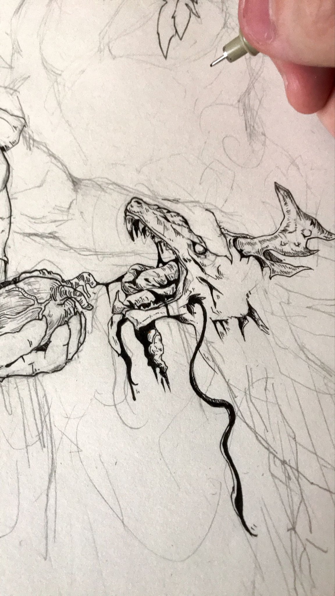 collectionZudo_o - Image 207