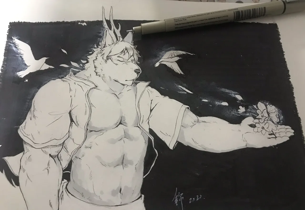 collectionZudo_o - Image 213