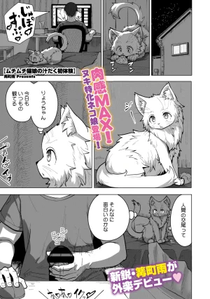COMIC GAIRA Vol. 25 - Page 96