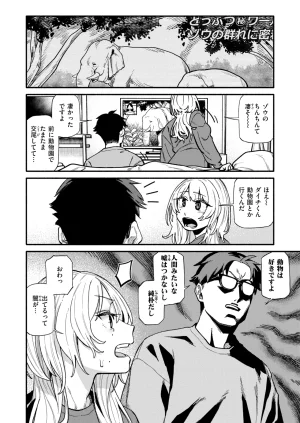 COMIC Kairakuten 2026-08 Digital - Page 204
