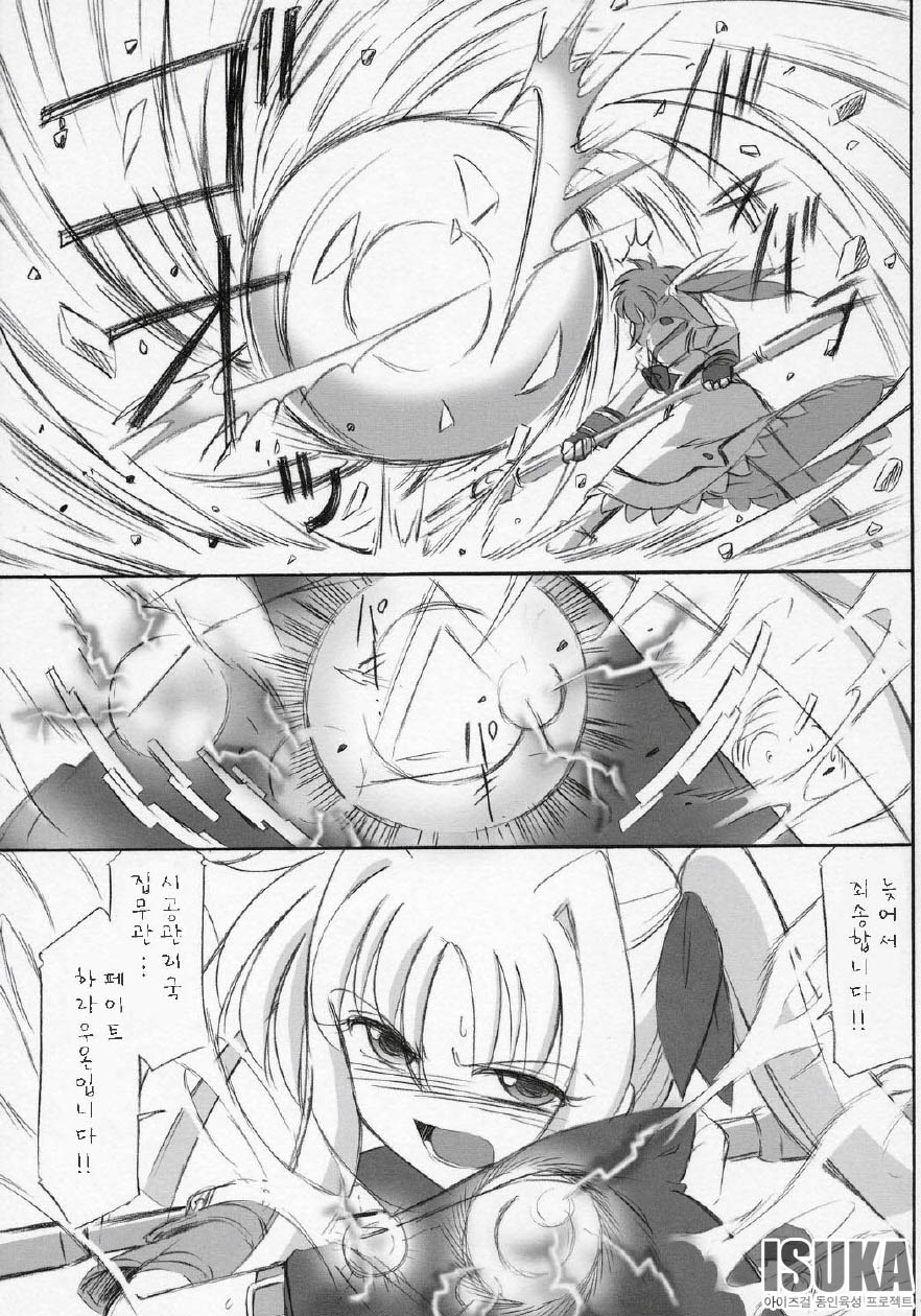 COMIC11 EINSATZ GRUPPE Charlie Nishinaka N 0.1 WHITE DEVIL Mahou Shoujo Lyrical Nanoha As korean - Image 7