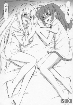 COMIC11 EINSATZ GRUPPE Charlie Nishinaka N 0.1 WHITE DEVIL Mahou Shoujo Lyrical Nanoha As korean - Page 18