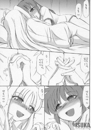 COMIC11 EINSATZ GRUPPE Charlie Nishinaka N 0.1 WHITE DEVIL Mahou Shoujo Lyrical Nanoha As korean - Page 21