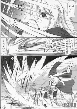 COMIC11 EINSATZ GRUPPE Charlie Nishinaka N 0.1 WHITE DEVIL Mahou Shoujo Lyrical Nanoha As korean - Page 22