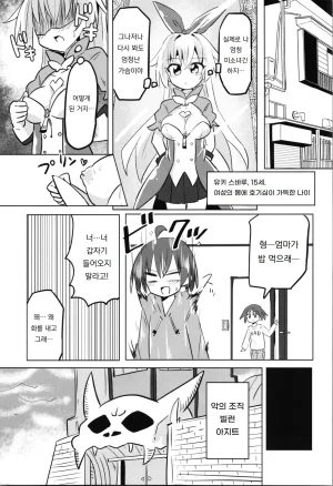 COMIC120 Saneyaro TS Mahou Shoujo Pure Rabbit TS 마법소녀 퓨어 래빗 Korean 도레솔 - Page 13